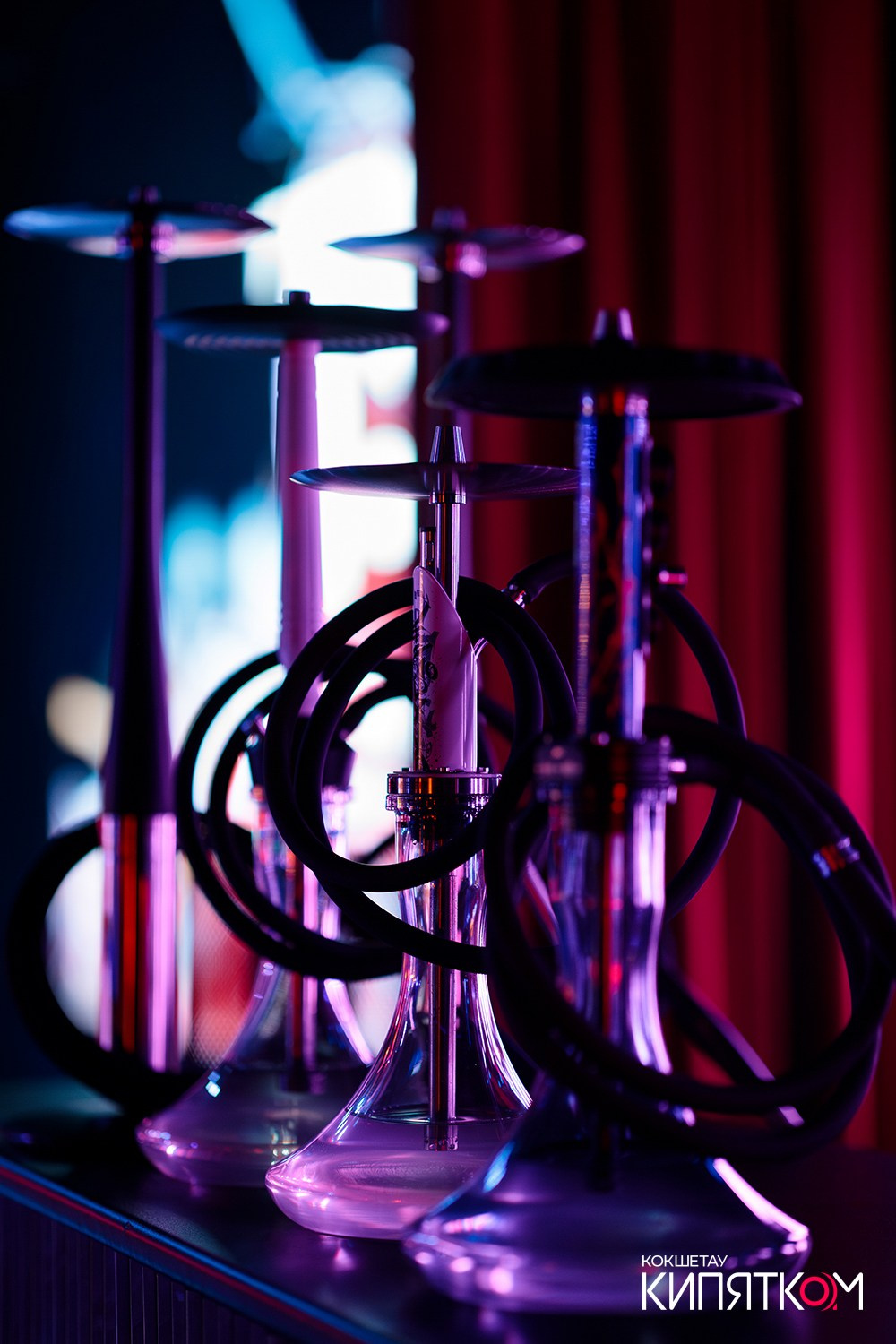 THE SHOW. КИПЯТКОМ КОКШЕТАУ