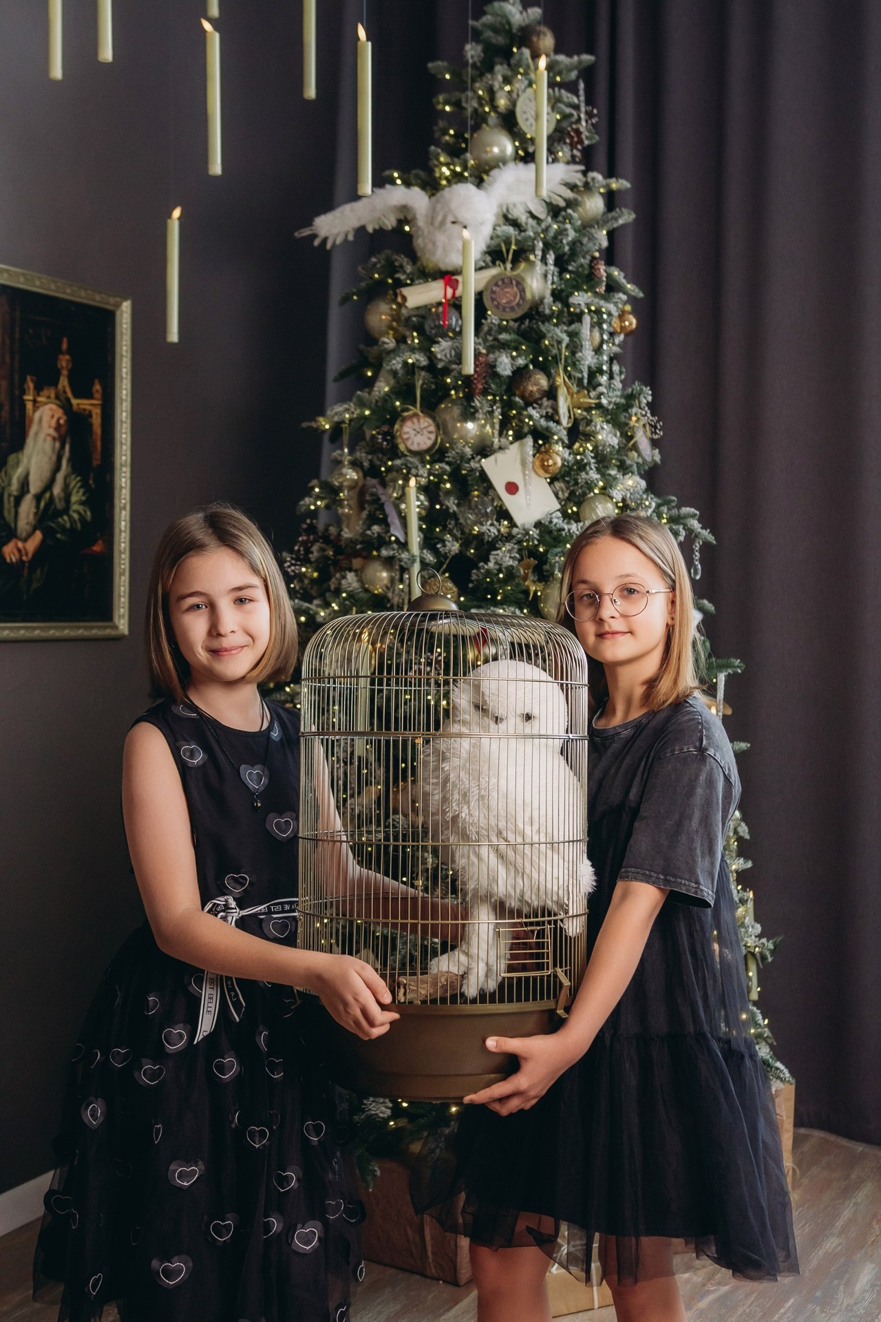 Отзывы. Фотограф Томск. Владимир Катышев