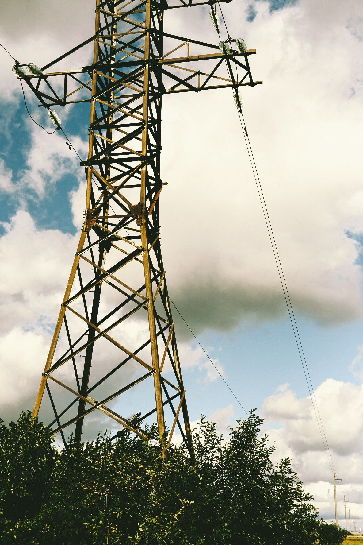 Фотограф Владимир Кононенко