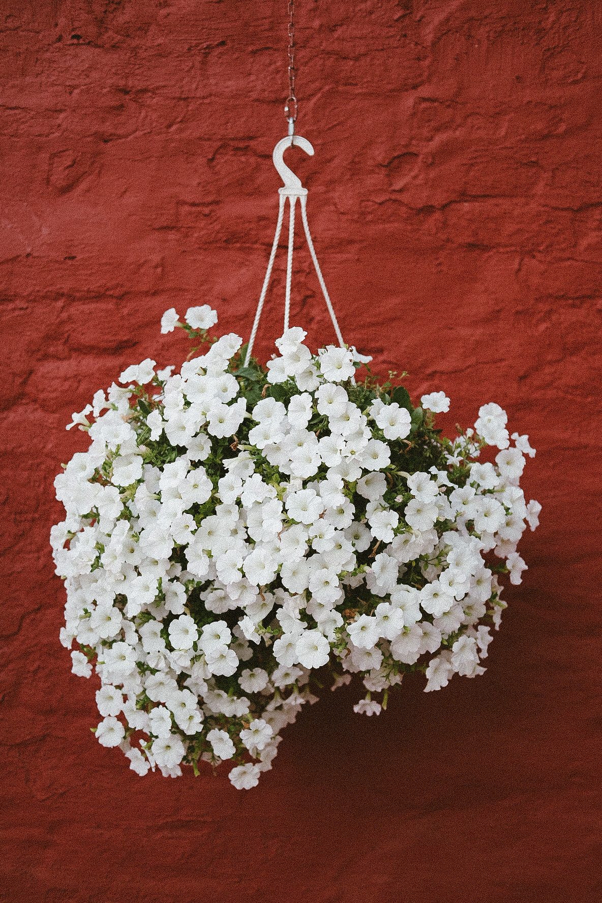 Фотограф Владимир Кононенко