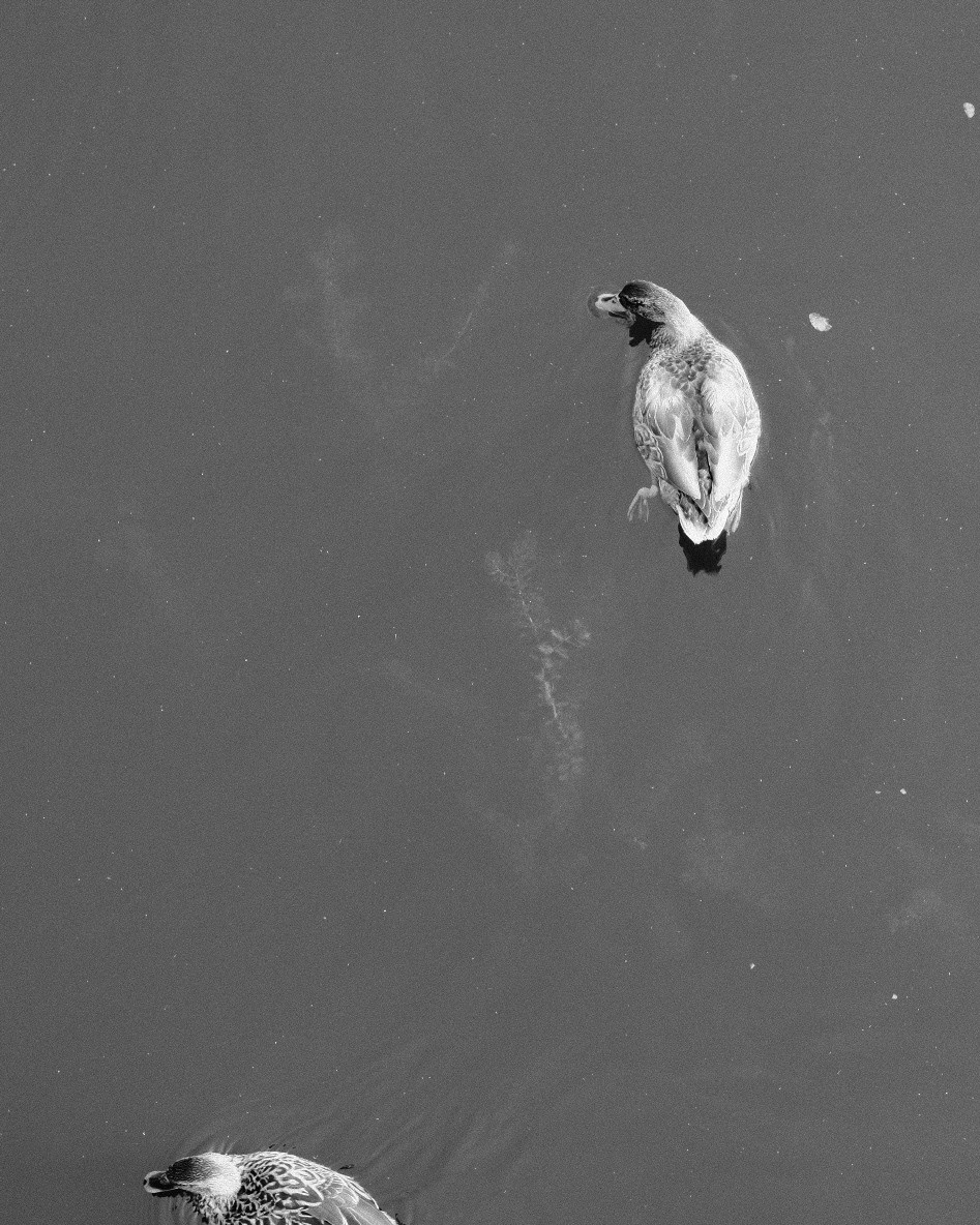 Фотограф Владимир Кононенко