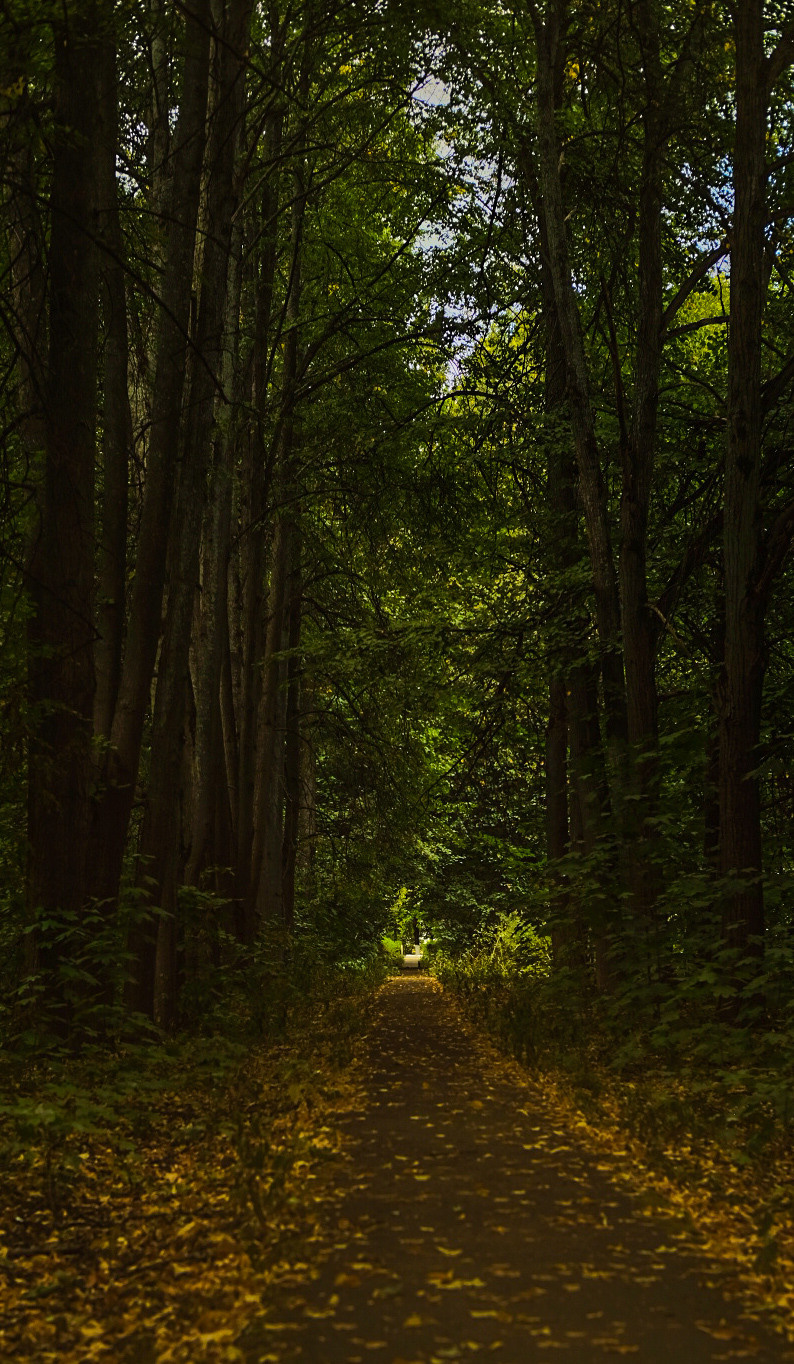 Фотограф Владимир Кононенко