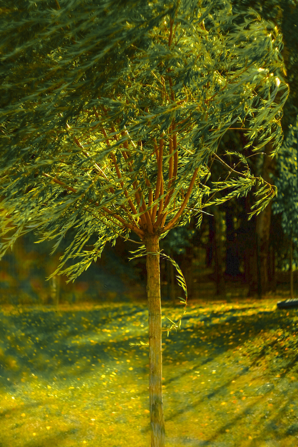 Фотограф Владимир Кононенко