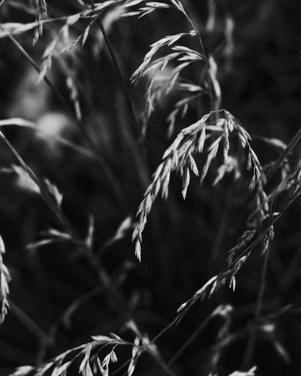 Фотограф Владимир Кононенко