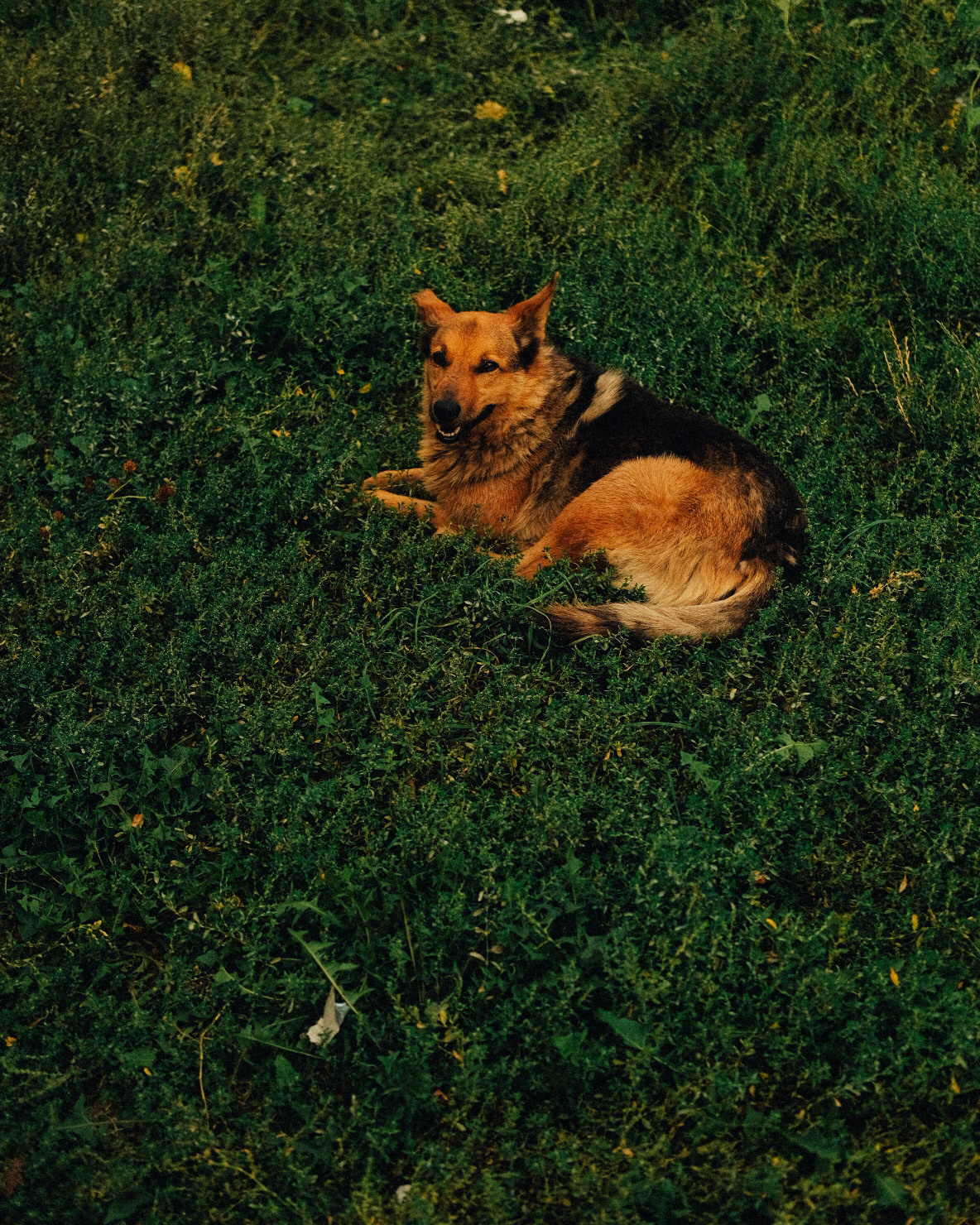 Фотограф Владимир Кононенко