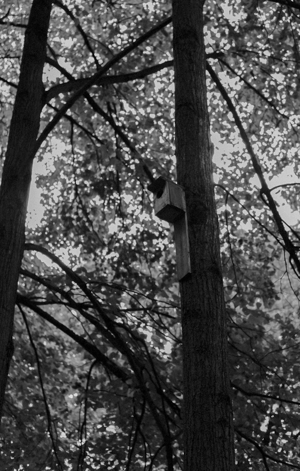 Фотограф Владимир Кононенко