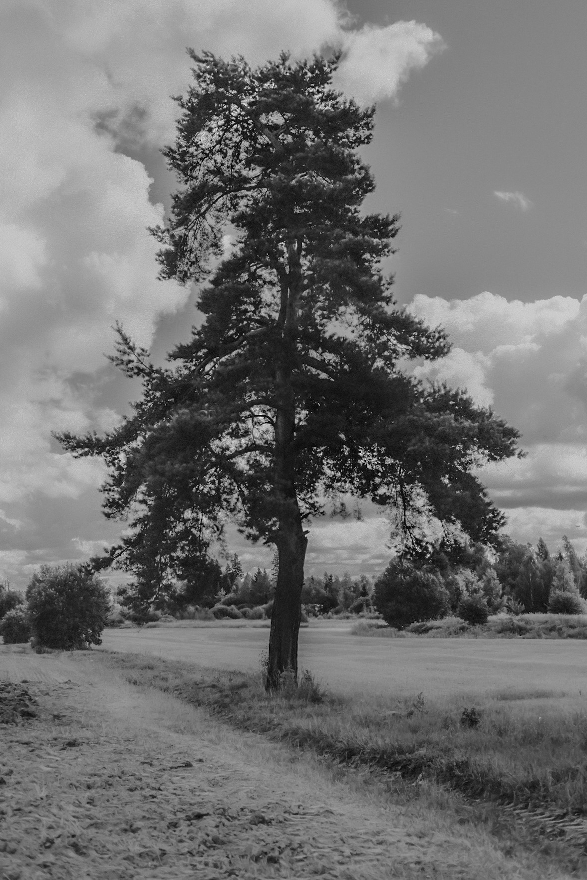 Фотограф Владимир Кононенко