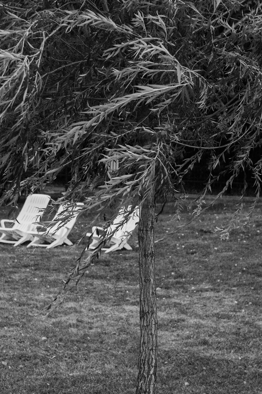 Фотограф Владимир Кононенко