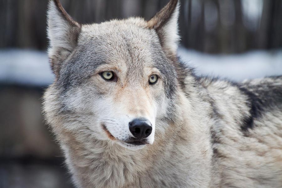 Street art. Фотостудия Алматы. Фотосъемка Алматы. Фотосессия Алматы. Фотокурсы. Обучение фотографии. Аренда студии