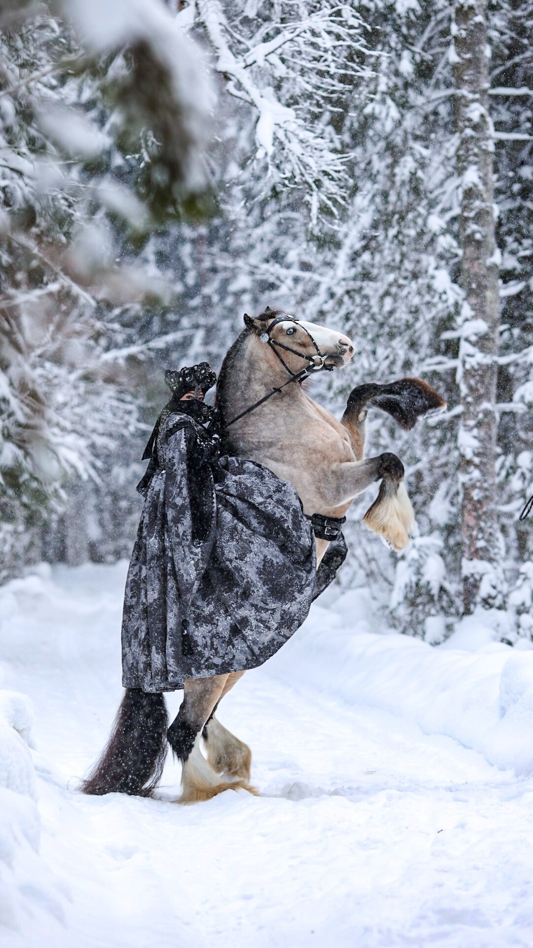 Лошадь на свечке