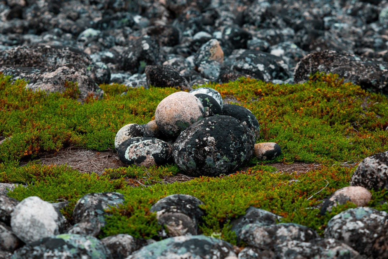 Териберка 2025. Фотограф Михаил Олейник