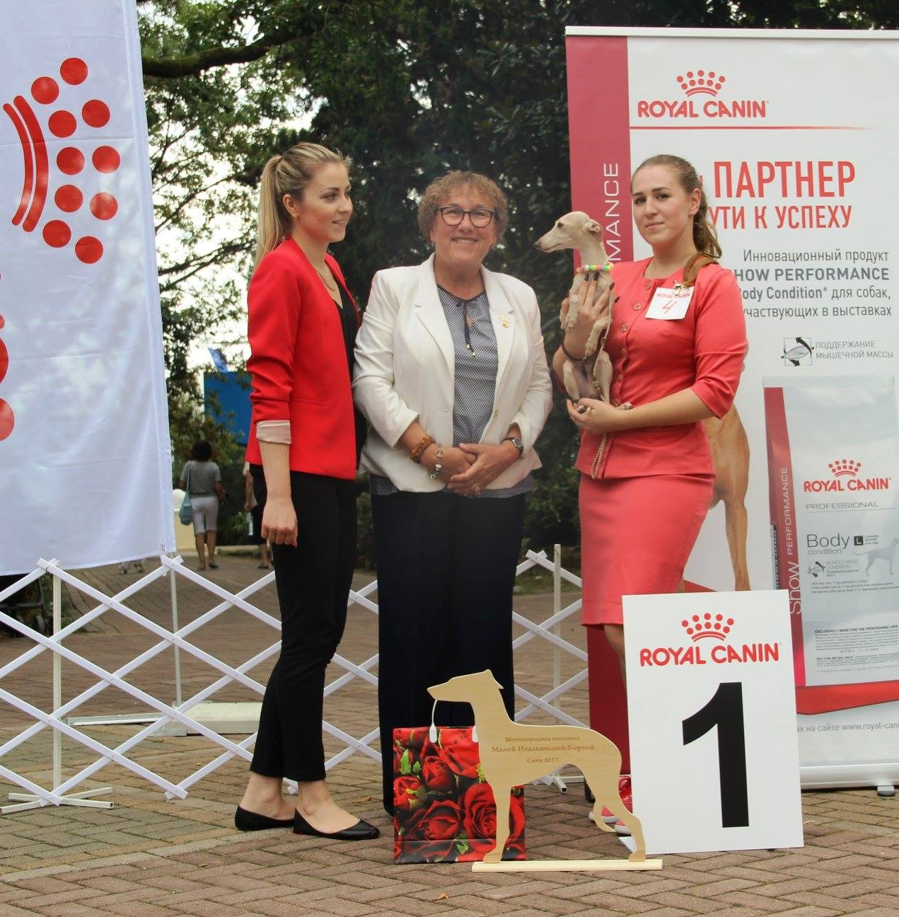 Организация монопородной выставки. Профессиональный питомник левреток РКФ/FCI ASTI SAPPHIRE 💎 Сочи|Санкт-Петербург