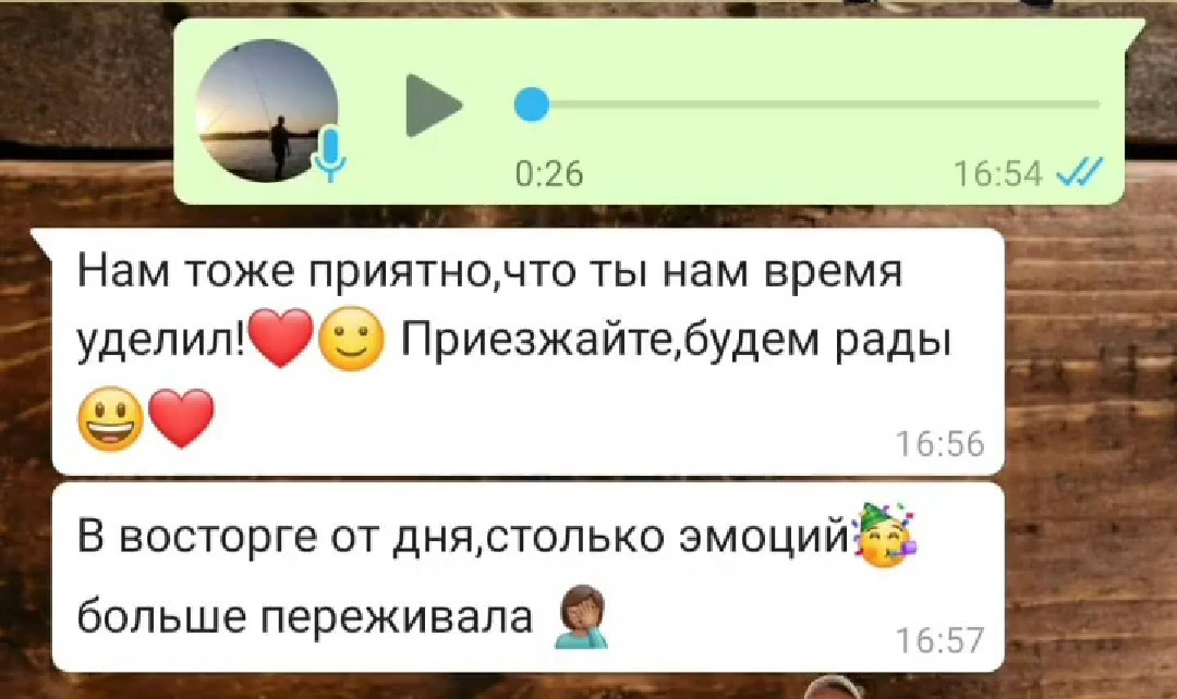 Отзывы с инстаграм. Свадебный Фотограф Видеограф Виталий Быстров