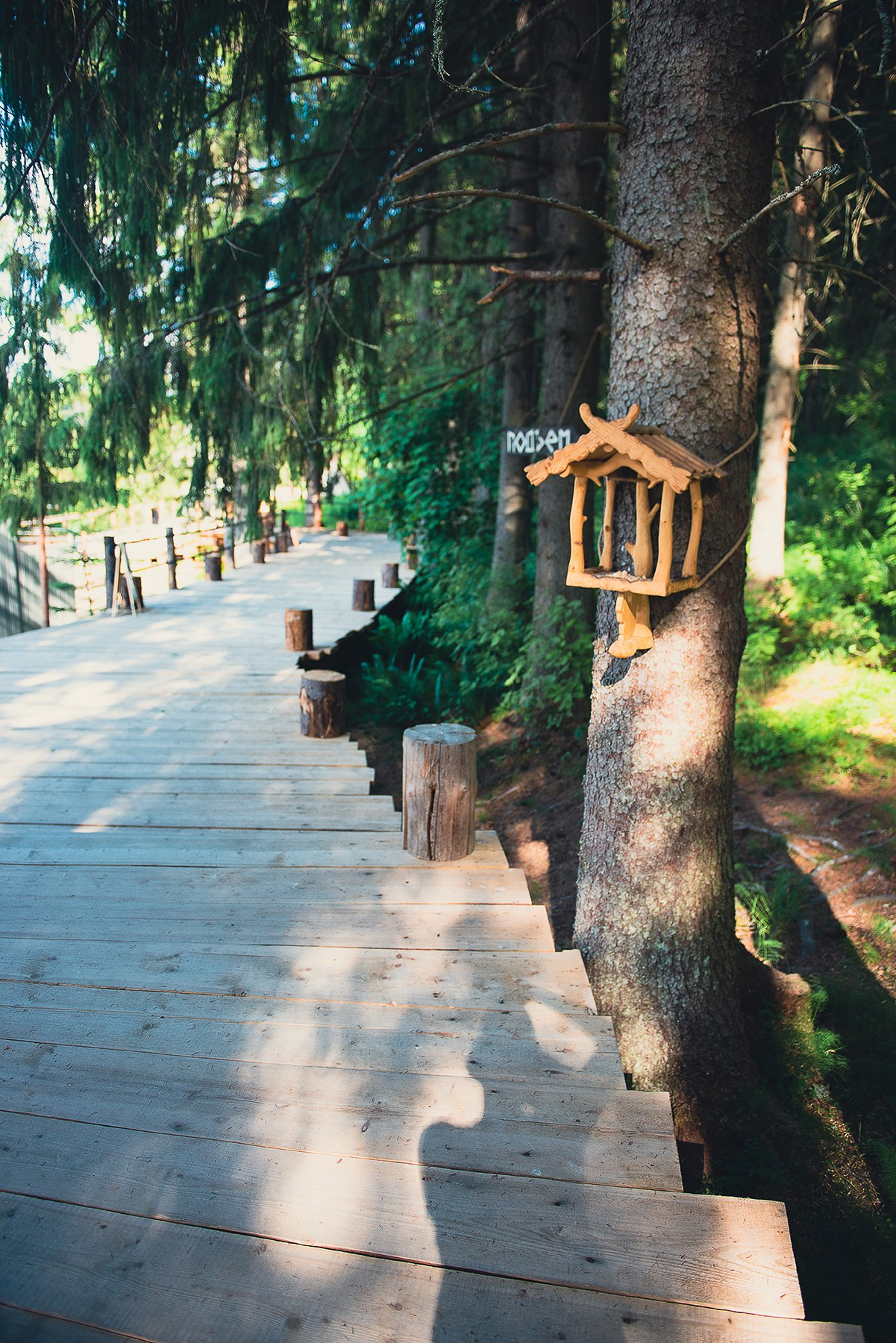 Карелия. Фотограф-анималист Наталья Светличная