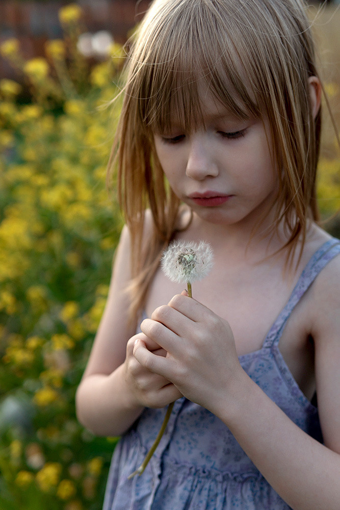 Алинка и&nbsp;одуванчики