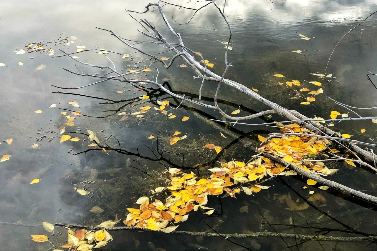 Алтай. Фотограф Евгений Андреев