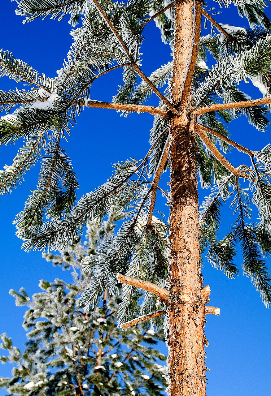 РАЗНОЕ. Андрей Пономарёв
