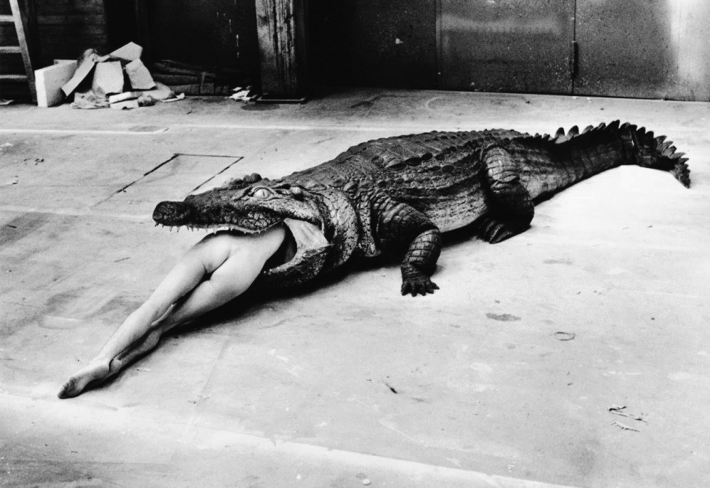 Хельмут Ньютон / Helmut Newton 18+. Женя Красовская | Фотограф | Smm-дизайнер