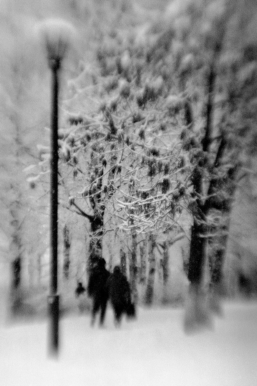 РАЗНОЕ. Андрей Пономарёв