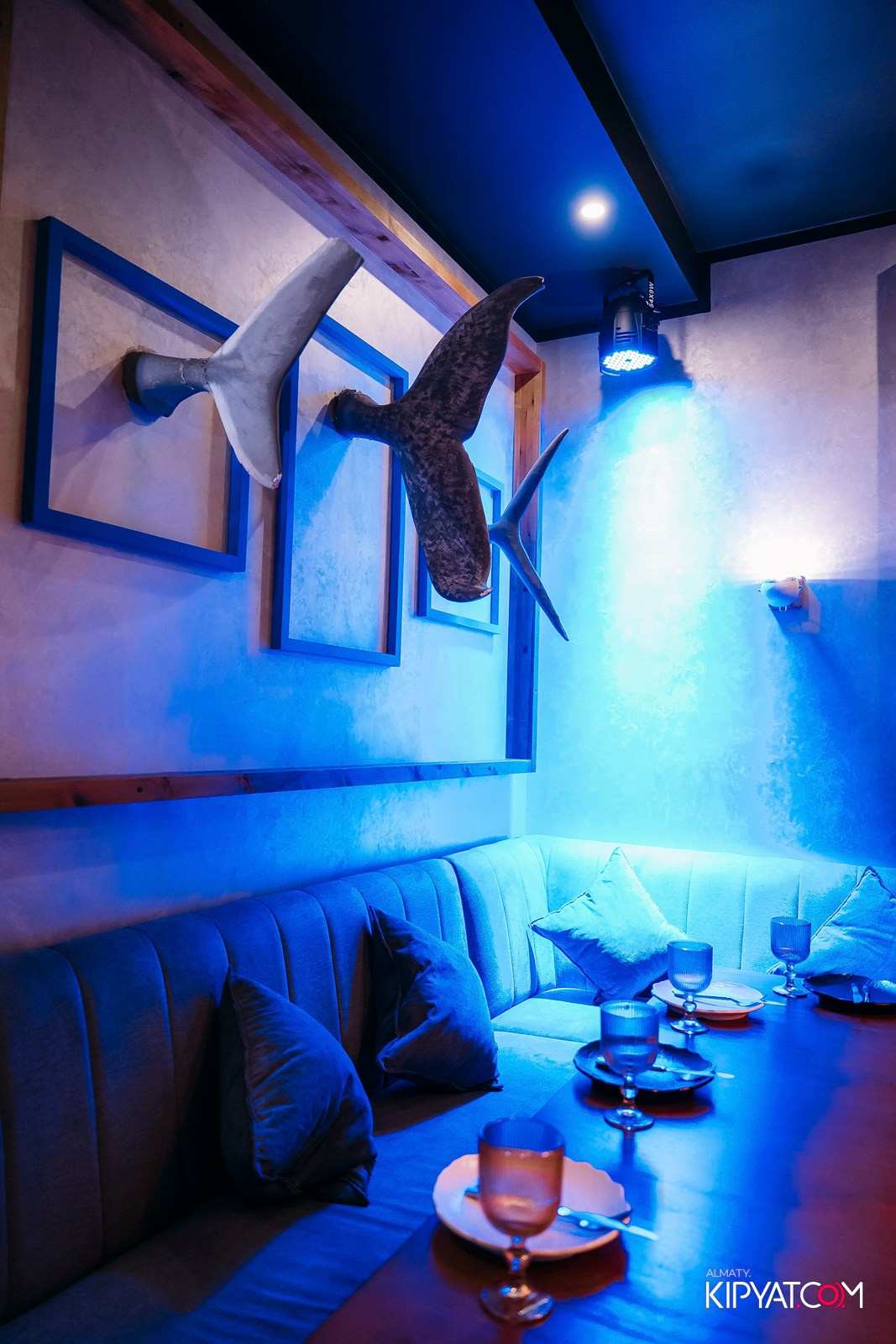 ДОРОГАЯ, Я НЕ ПИЛ. КИПЯТКОМ АЛМАТЫ! Фотосъемка мероприятий в Алматы