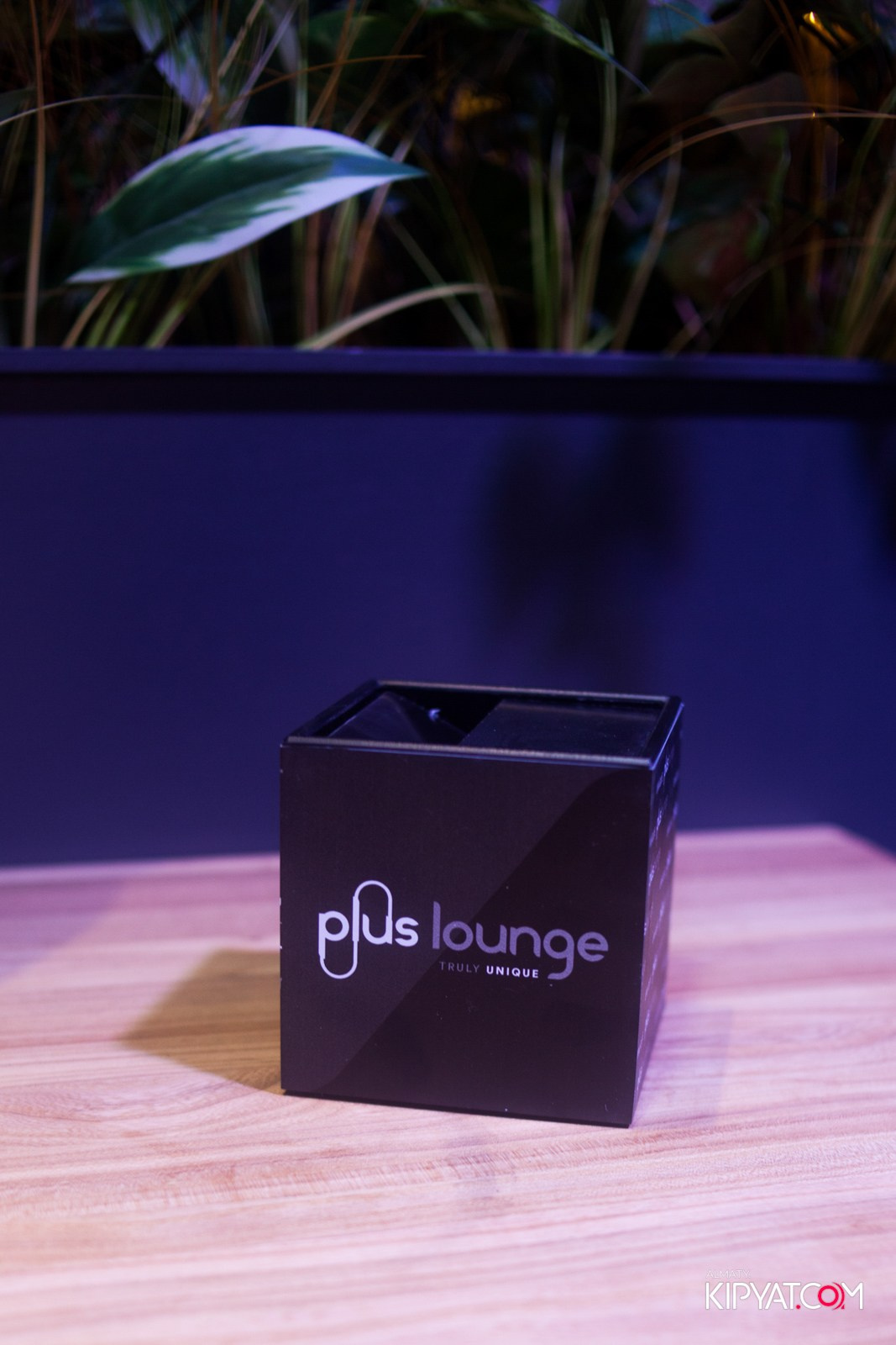 ПИНТА НУРЛЫ-ТАУ. КИПЯТКОМ АЛМАТЫ!