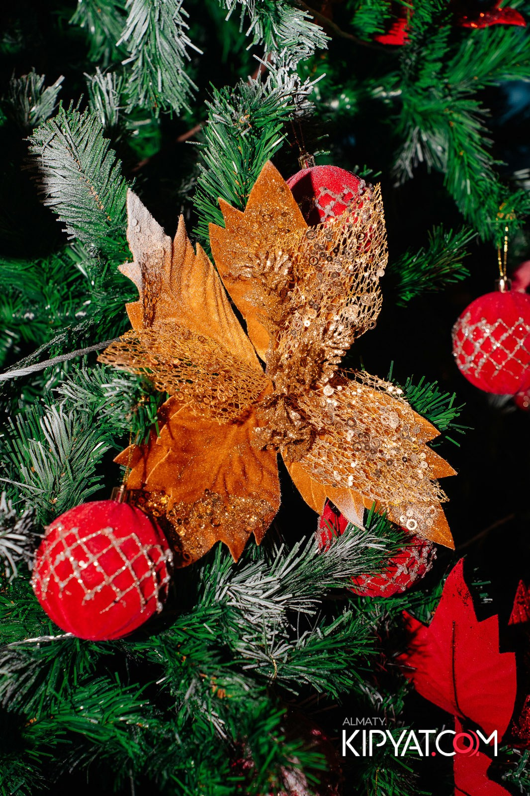 ГРУЗИНСКИЙ ДВОР НА КАБАНБАЙ БАТЫРА. КИПЯТКОМ АЛМАТЫ!