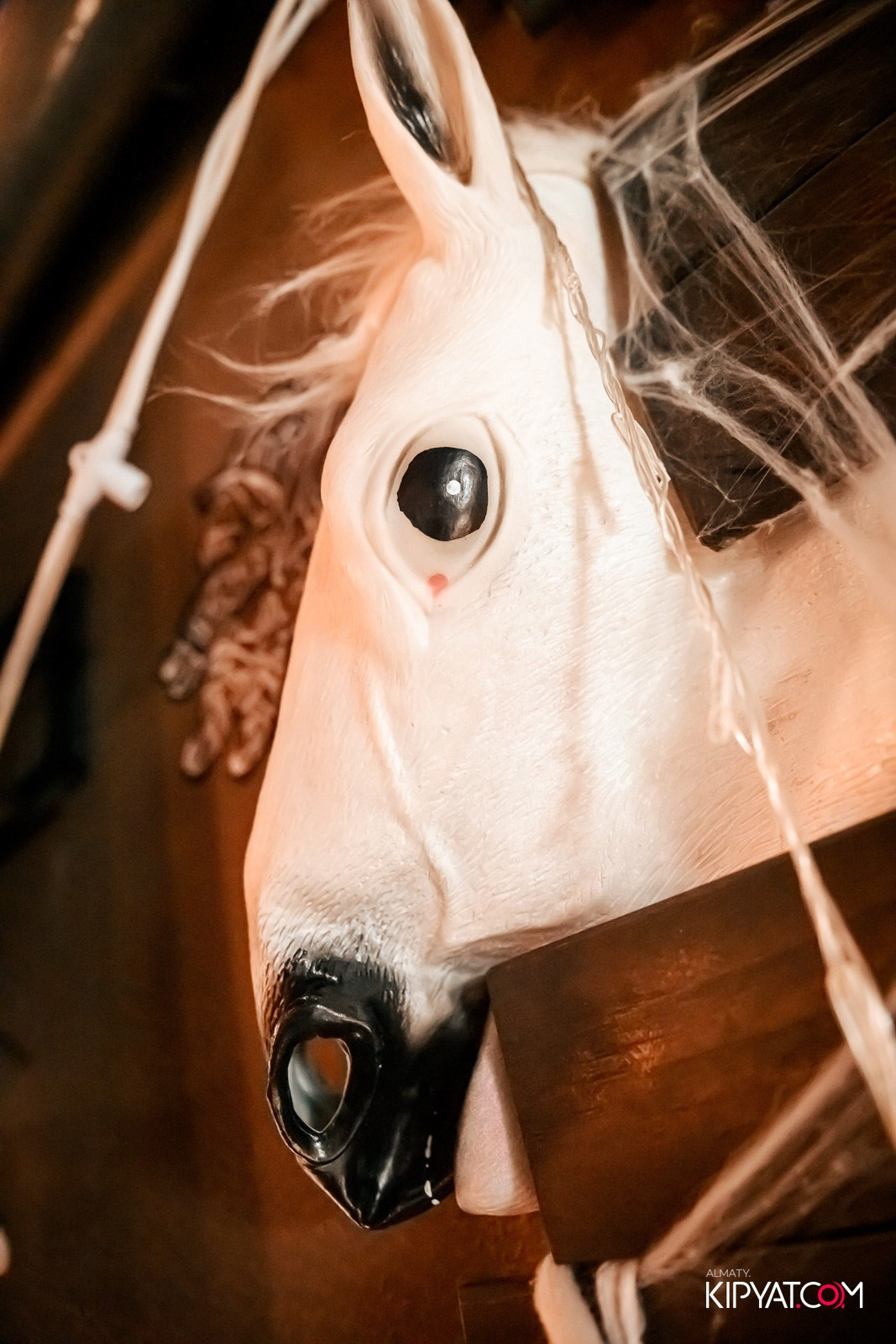 VICTORY PUB. КИПЯТКОМ АЛМАТЫ!