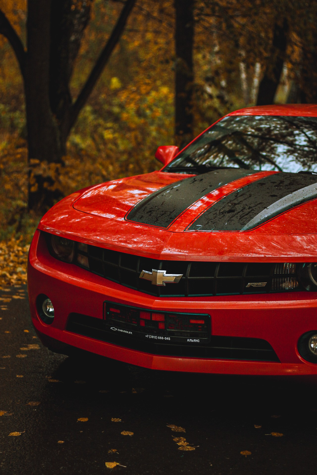 Cars. Фотограф Ксюша Костюченко