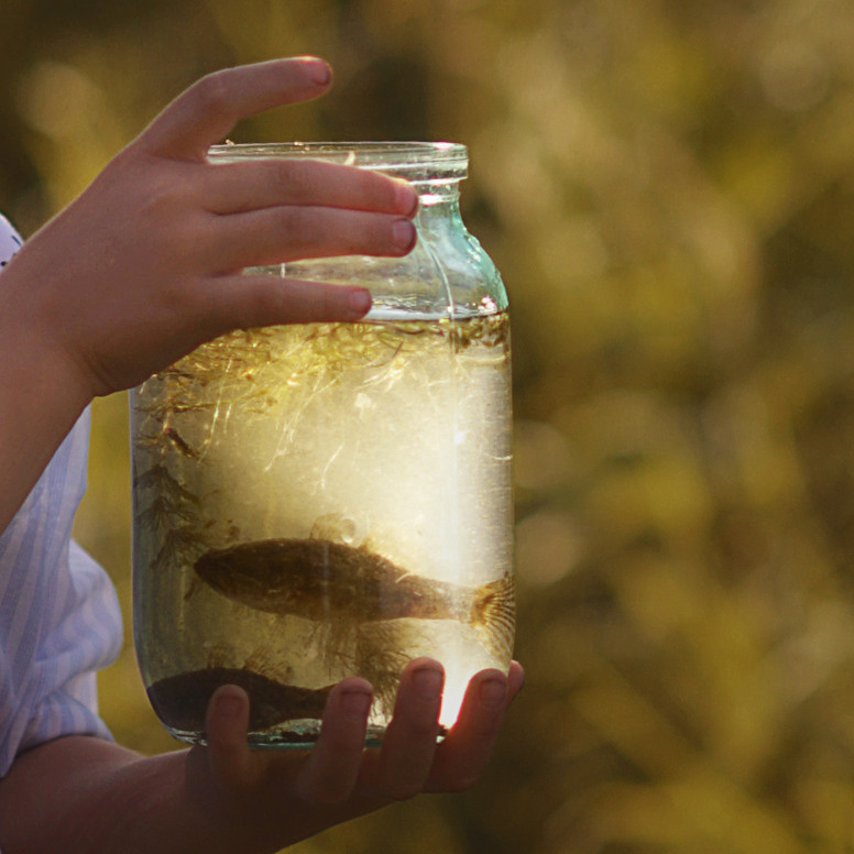 Озеро в Островцах. Фотограф Альбина Вакунова