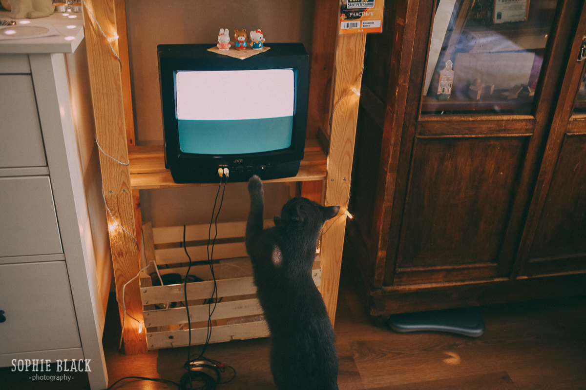 Лена и Жора. Соня Черных (sophieblack)