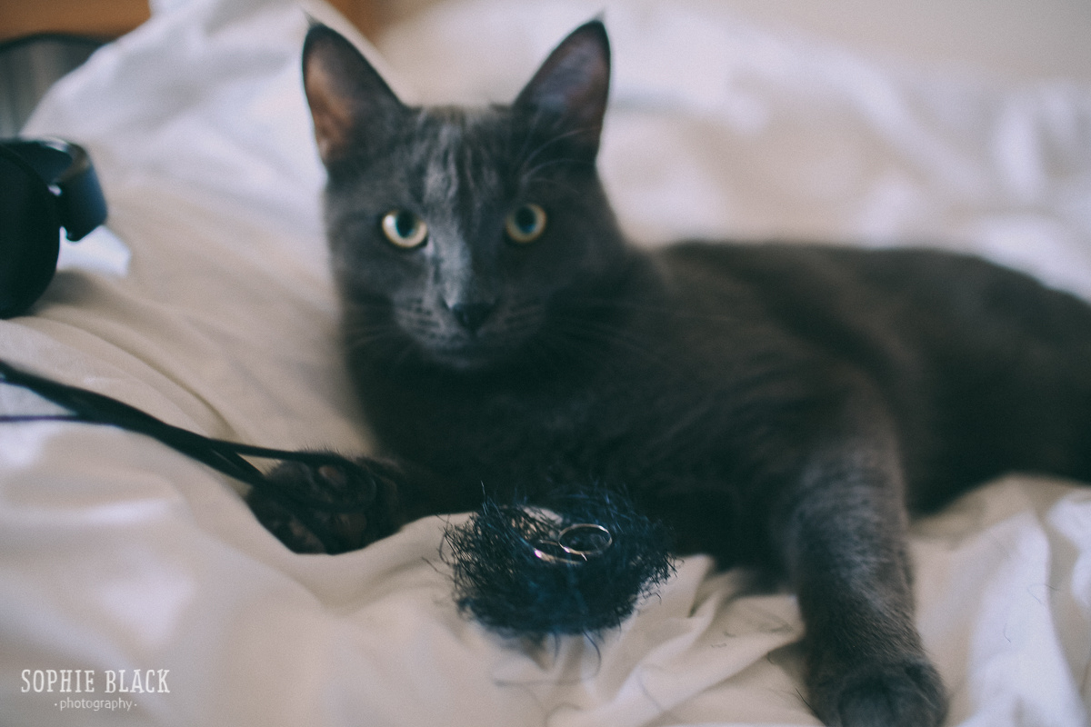 Лена и Жора. Соня Черных (sophieblack)