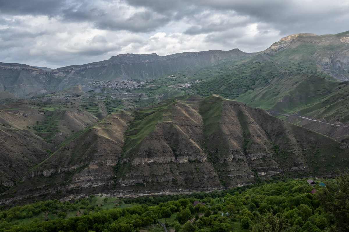 Природа. Photomantis