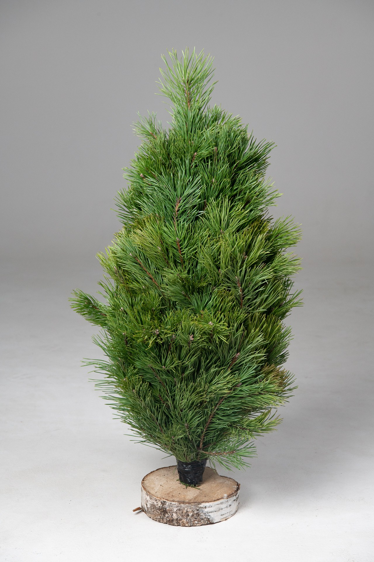 Предметная съемка елок. Фомина Елена Свадебный и семейный фотограф