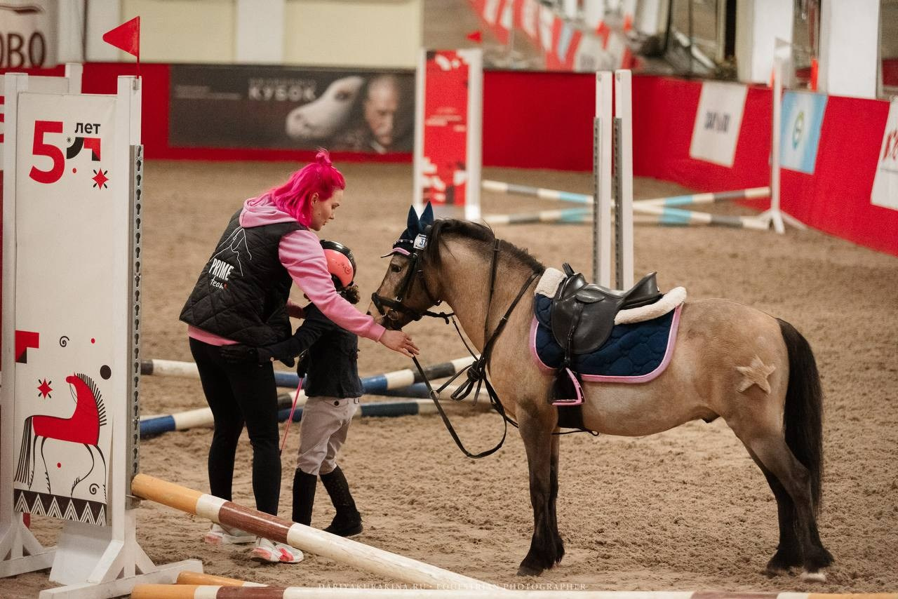 «КУБОК ИМЕНИННИКА» КСК «Измайлово». Конный фотограф Куракина Дарья • Фотосессии с лошадьми