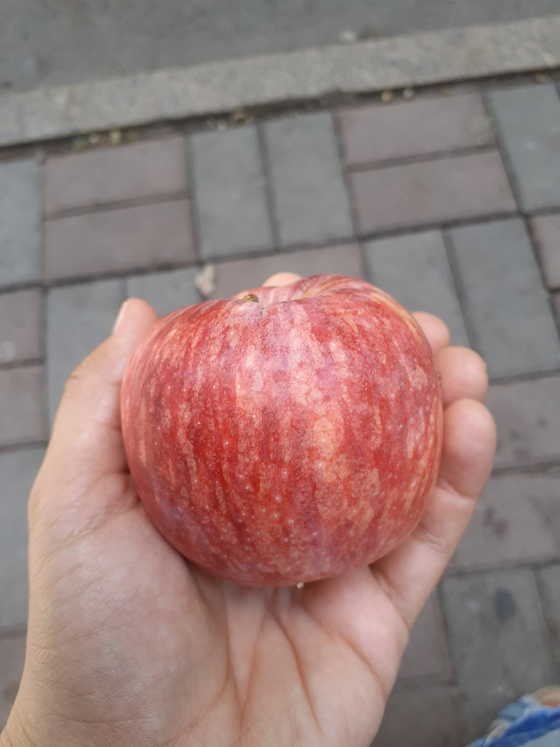 Зелёный базар в Алматы — рынок традиций и вкусов