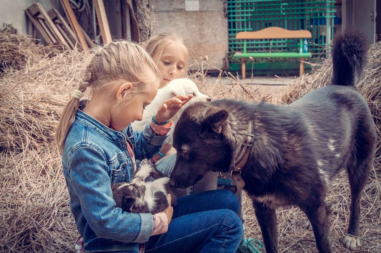 Дети. Фотограф в Красноярске. Портреты, семья, прогулки по городу и ваши праздники