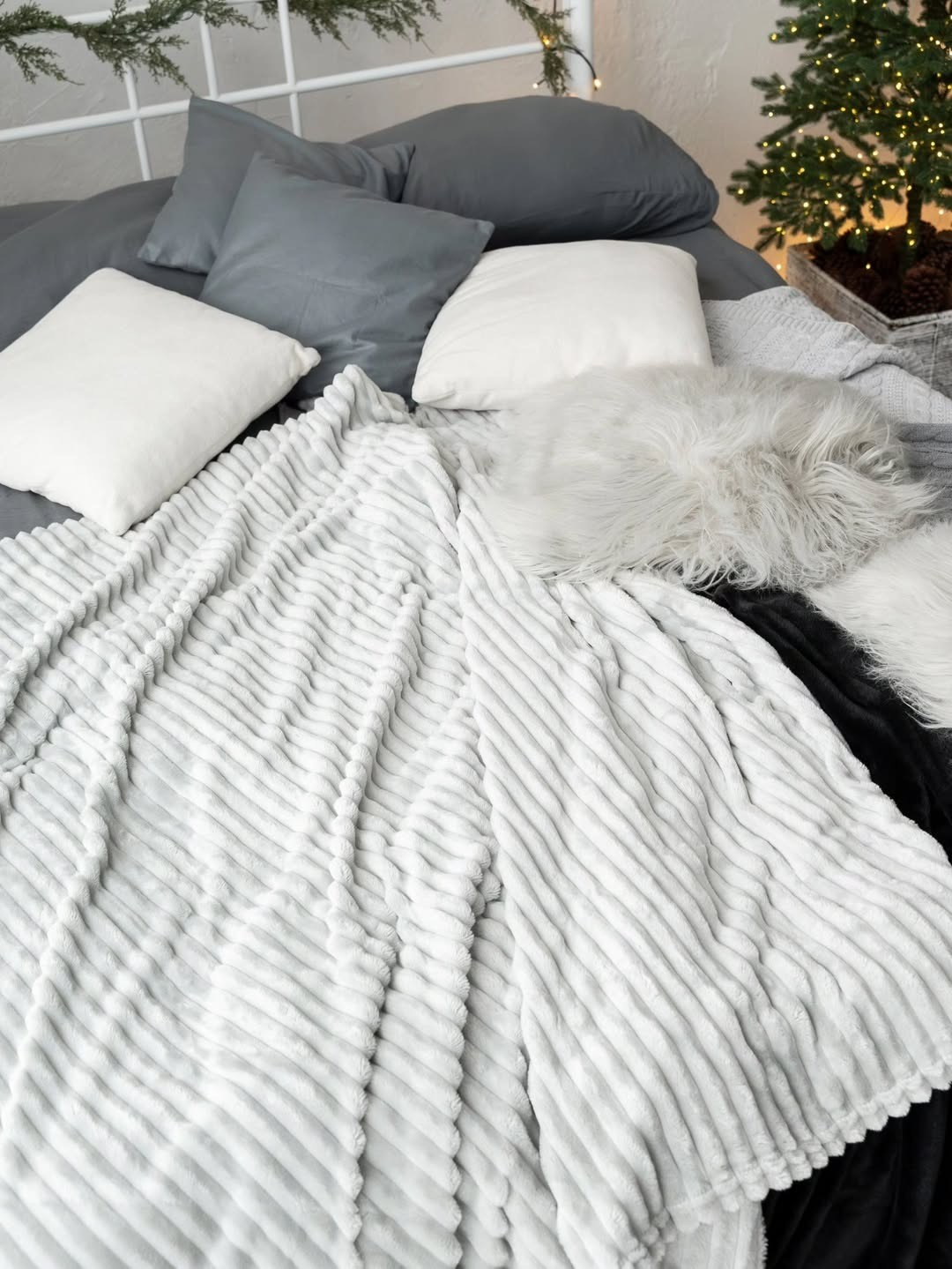 ЗАЛ ЛЬЕЖ Студия URBAN (2 речка). Фотограф для жизни, бизнеса и соц сетей Ирина Нечет, Владивосток