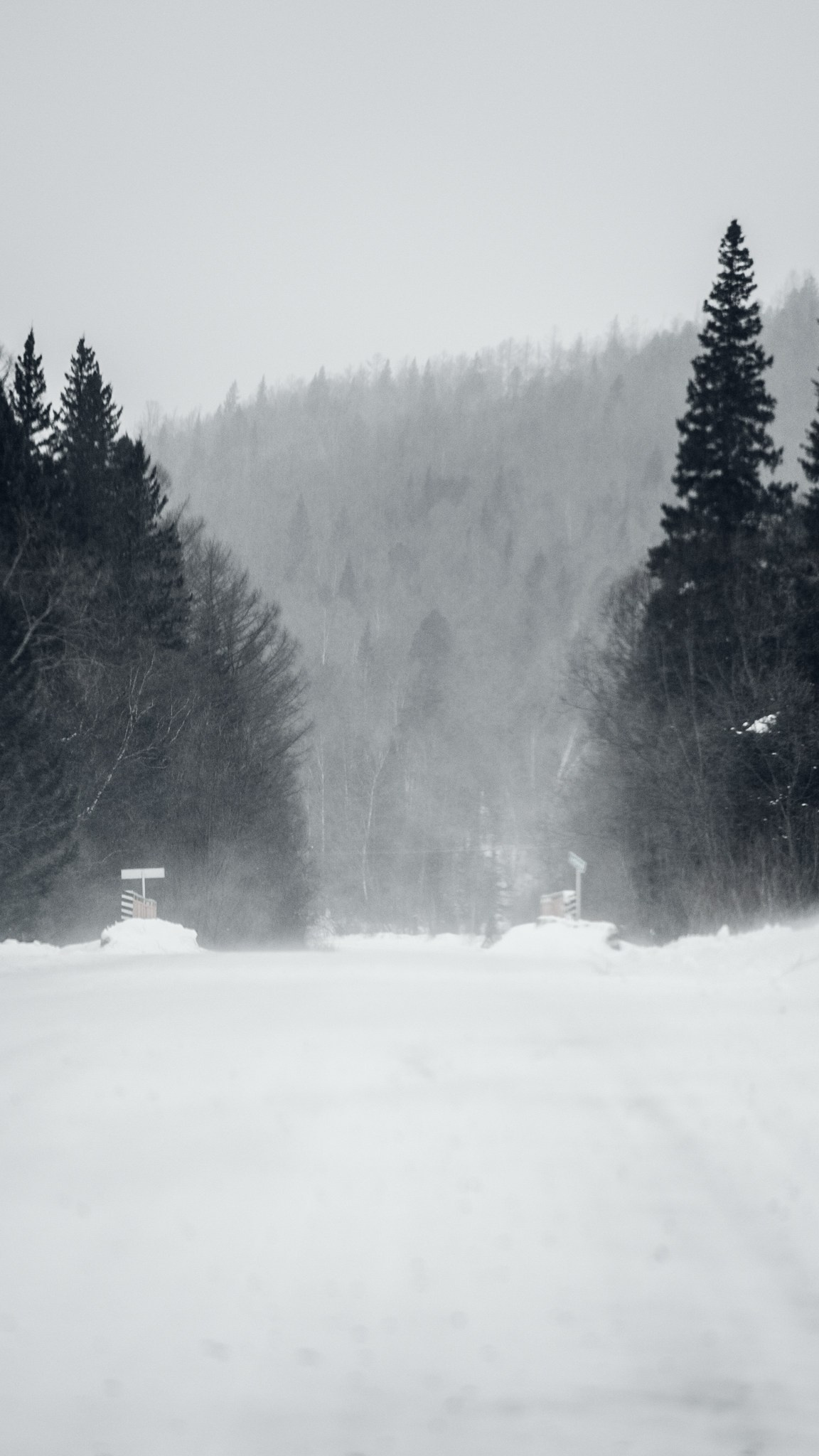 Приисковое. Человек с фотокамерой