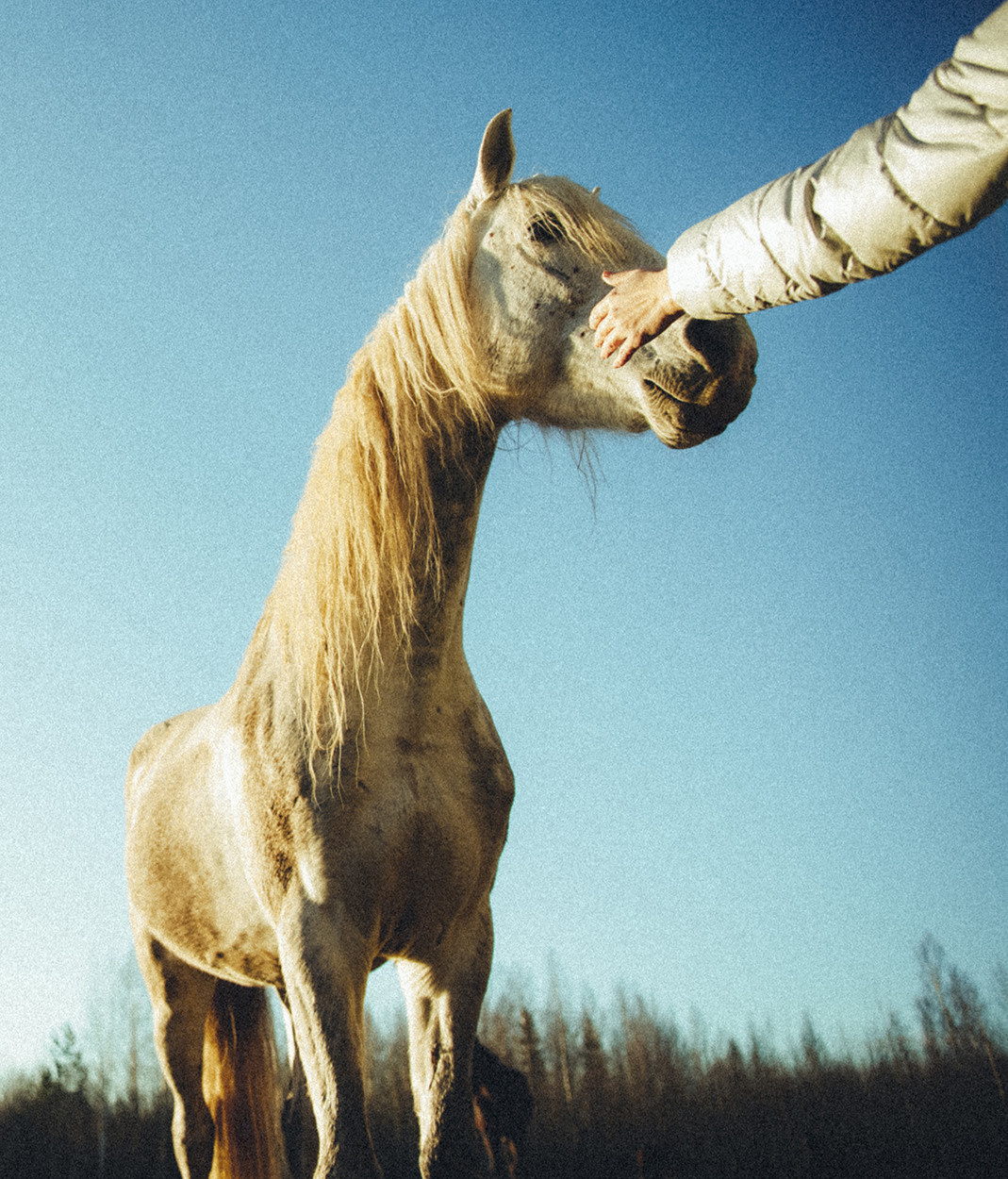 Посиделки в Конно-Драматическом театре «Велесо». Портретный фотограф в Санкт-Петербурге Оксана Ивлева