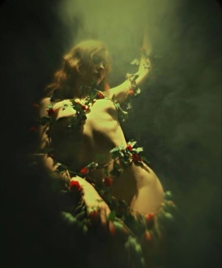 Концептуальный проект «ПЛЮЩ»