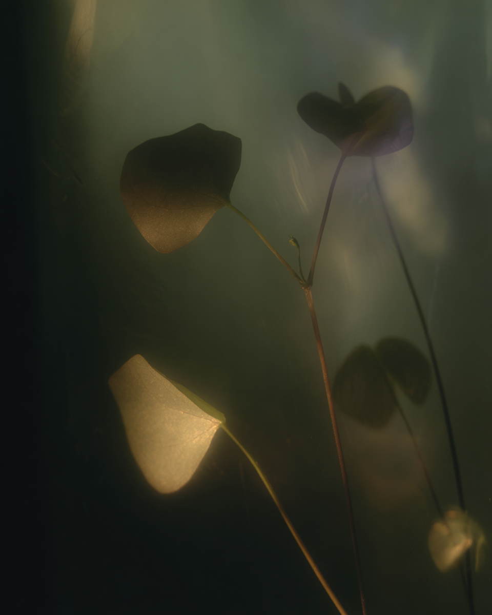 AI проекты. Фотограф Марина Гранкина