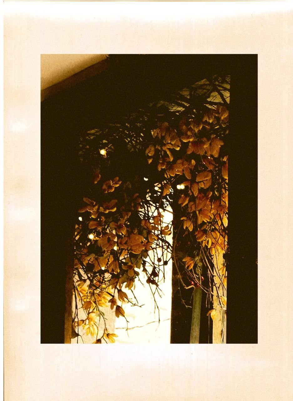 RANDOM. Nik Paustovskiy photography