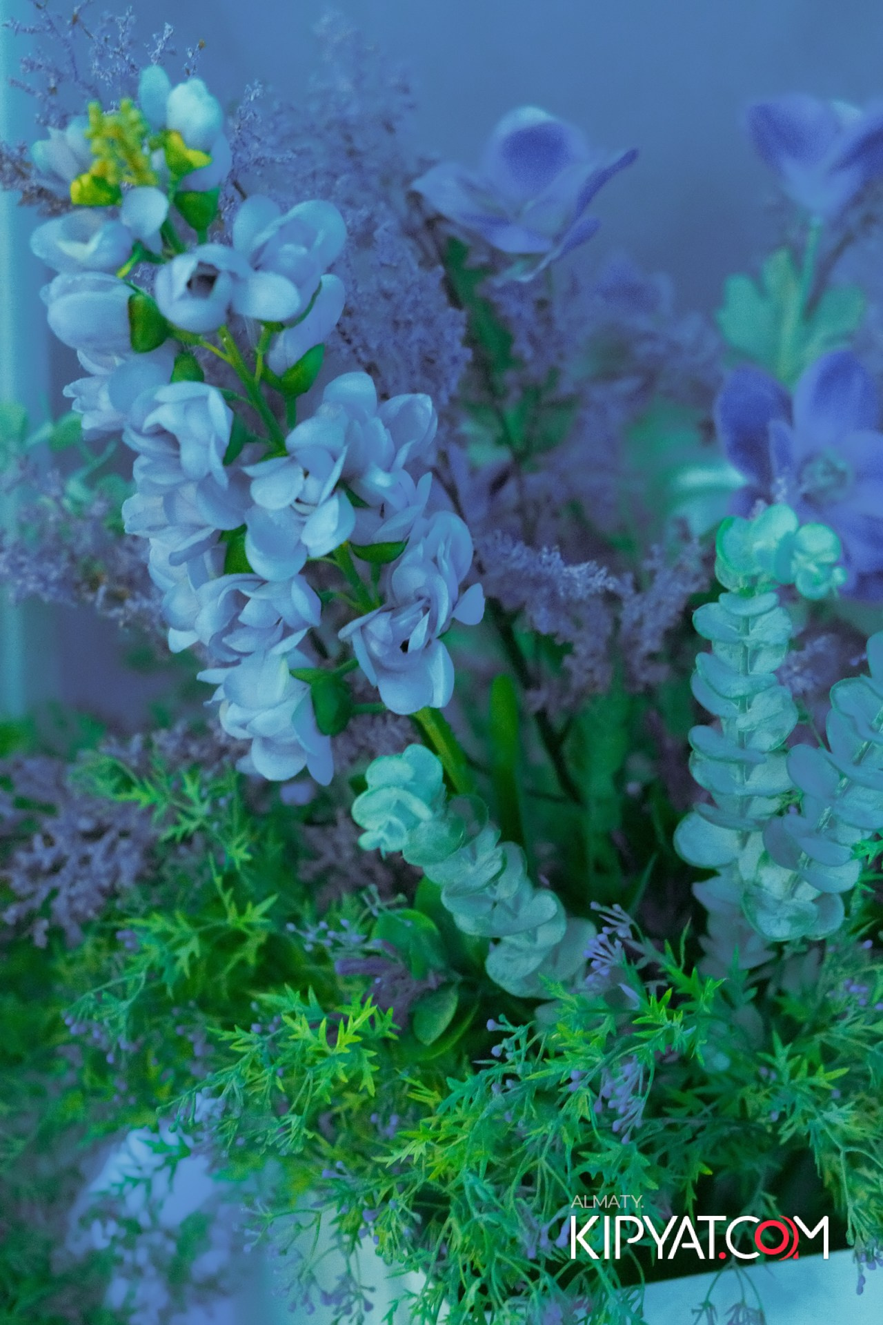 УХО И МЕДВЕДЬ НА САИНА. КИПЯТКОМ АЛМАТЫ!