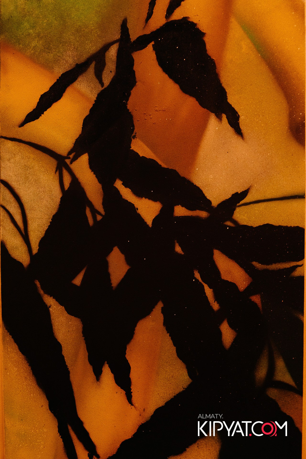 ДОРОГАЯ, Я НЕ ПИЛ. КИПЯТКОМ АЛМАТЫ!