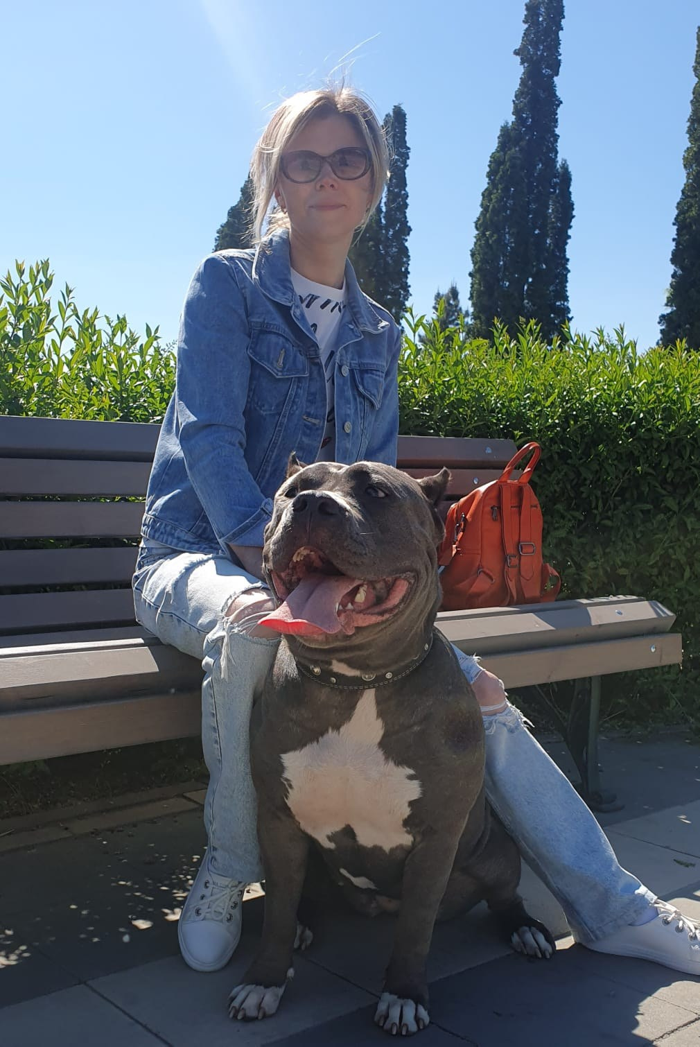 UPB’s Queenie & Zeus. 16.04.24. Американские булли XL в г. Калининград. Питомник Great Bully UNIVERSE