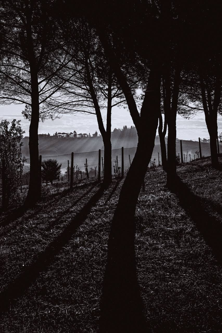 Челлендж «Свет решает все». Лучшие кадры. Женский семейный фотограф Тула Москва Захарова Анна