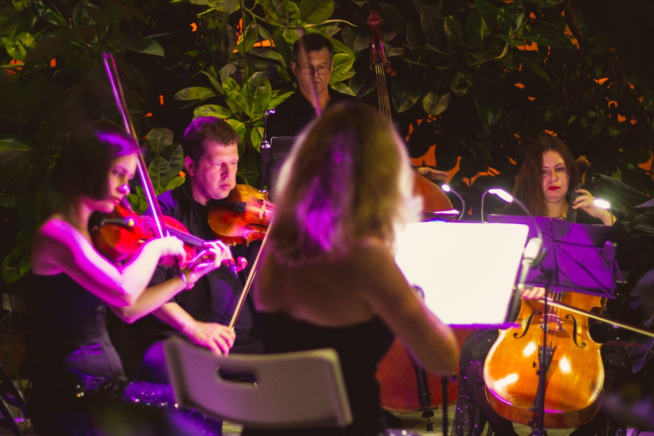 Petro Art — квартет в Таврическом саду (Рок Хиты). EvgenyCraft