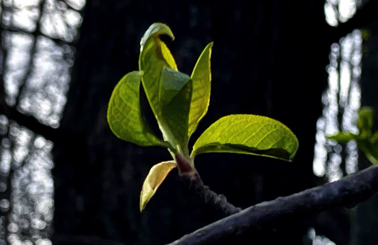 Марафон «Другая сторона света». Женский семейный фотограф Тула Москва Захарова Анна