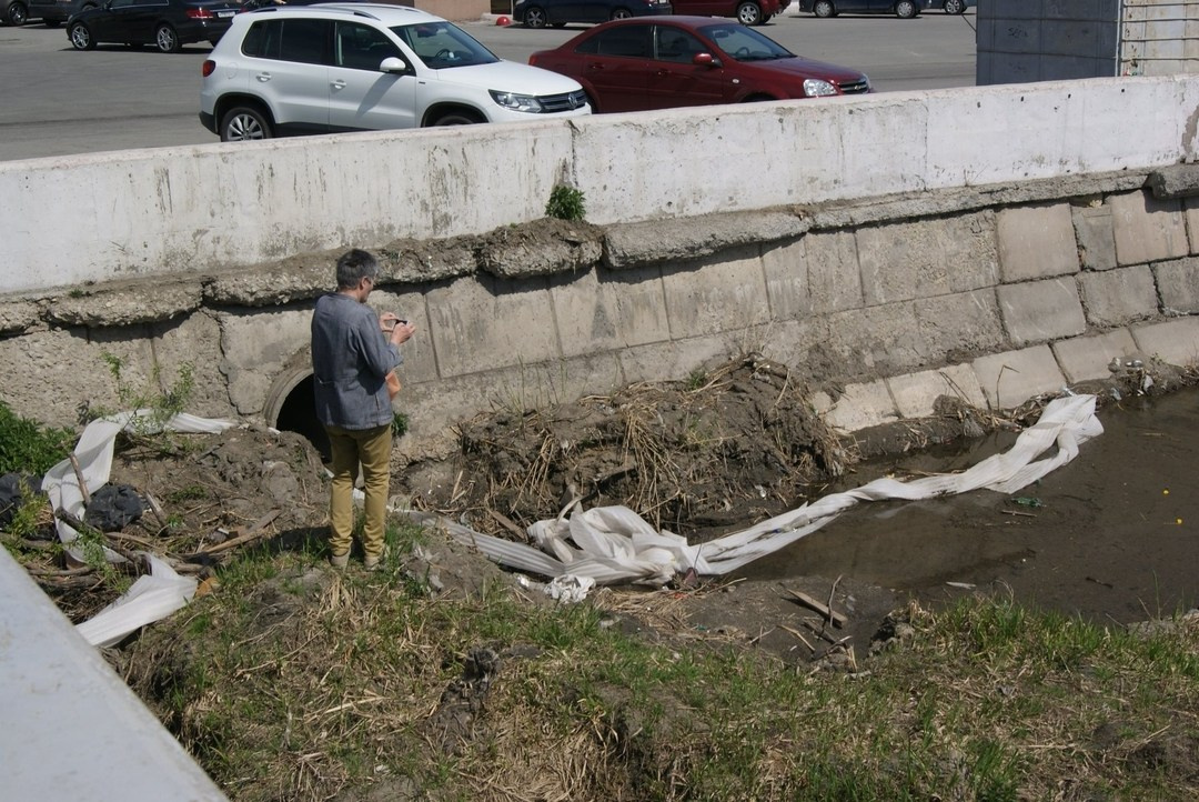 Между цирком и филармонией. Artist Oleg Semenovykh