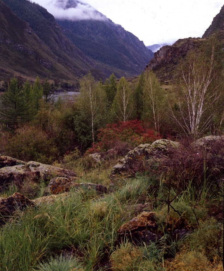 Саяны. ВАДИМ ГИППЕНРЕЙТЕР — ВЕЛИКИЙ ФОТОГРАФ ЗЕМЛИ РУССКОЙ